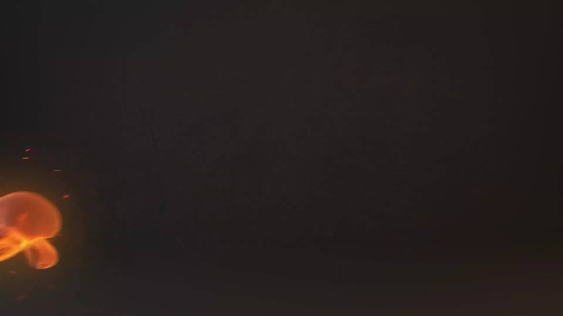 She Screams so much for that African BBC